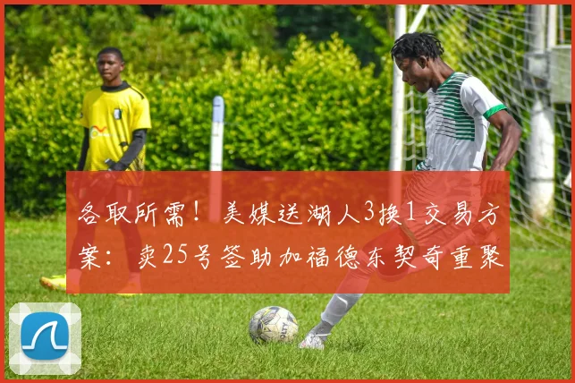 各取所需!美媒送湖人3换1交易方案:卖25号签助加福德东契奇重聚