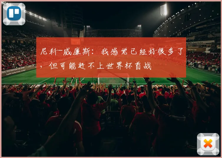 尼科-威廉斯：我感觉已经好很多了，但可能赶不上世界杯首战