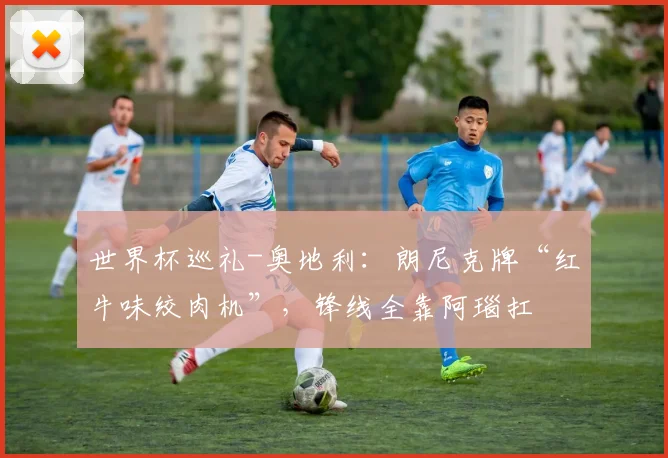 世界杯巡礼-奥地利：朗尼克牌“红牛味绞肉机”，锋线全靠阿瑙扛